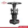 DN50 PN160 A105N Butt Weld Gate Valve