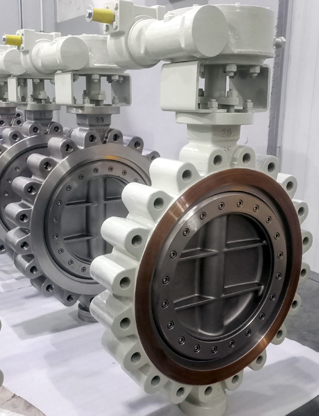 Lug type triple eccentric butterfly valve