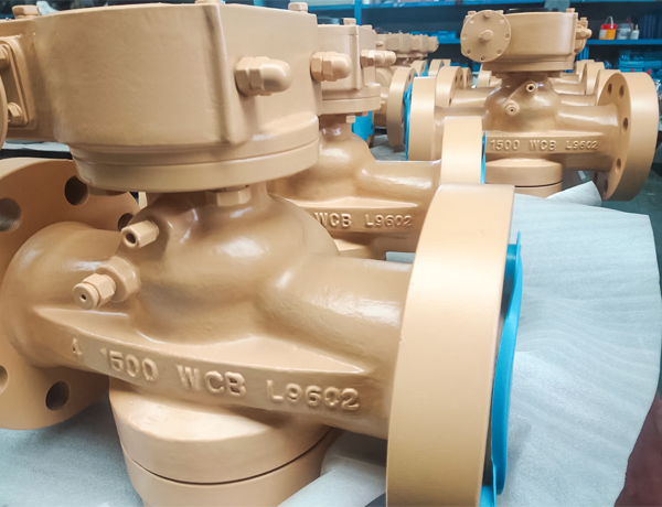 Pressure Balanced Type Plug Valve