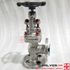 Forged Stainless Steel F316L Flange RF Angle Check Globe Valve