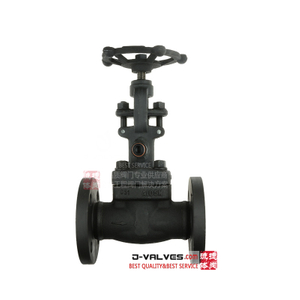 Forged flange vacuum globe valve.jpg