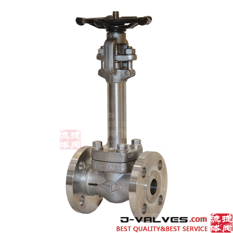F304L Forged Stainless Steel Low Temperature RF Globe Valve