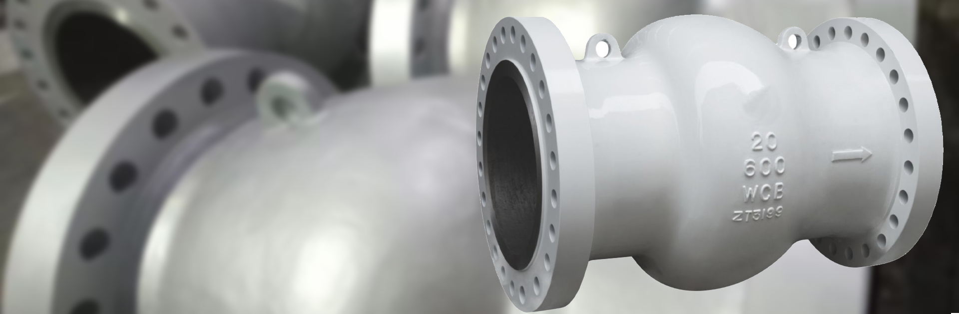 Axial-Flow-Check-Valve