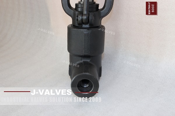 1 2500LB globe valve (2)