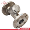 DN50 PN16 316L Y Strainer
