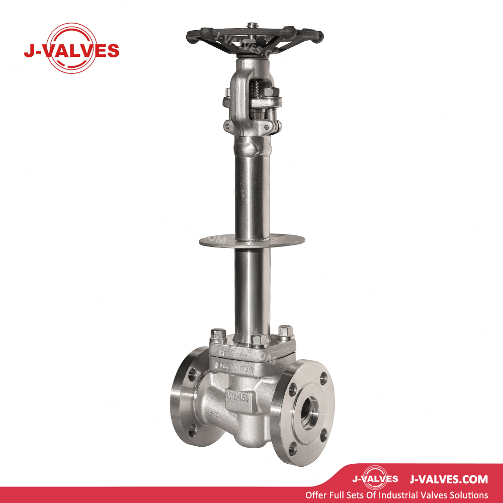 Quality Industrial Valve Product Made in China J-Valves 15LB RF Low-temperature Stainles Steel F304 Extended-stem Globe Valve