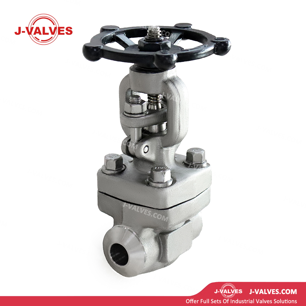 Stainless Steel Socket Welded Gate Valve
