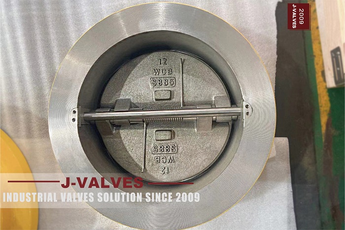 Double Disc Wafer Check Valves (1)