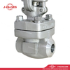 Stainless Steel Socket Weld Gate Valve