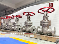 //iororwxhkjmjlm5p.leadongcdn.com/cloud/mnBpoKnrRllSmpkmpopmn/DN100-PN160-CF8M-gate-valves.jpg