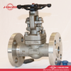 J-Valves China ANSI Class 150/300 Forged Steel Flange End Gate Valve