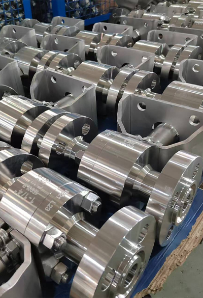 Stainless Steel Forged Flange Ball Valve