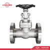 DN50 PN63 F316L Gate Valve
