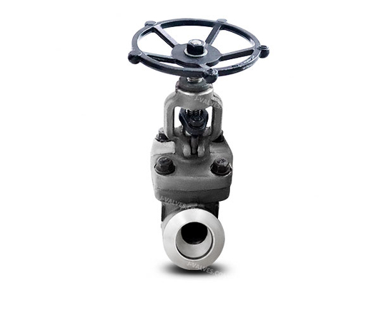 Y-type Globe Valve