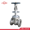 China-Made J-Valves 6inch ANSI Class 300 OS&Y Stainless Steel CF8M Handwheel Operation Flange RF Extended bonnet With drip tray Cryogenic Gate Valve