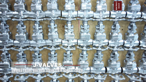 Socket welded gate valve.jpg