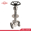 Quality Industrial Valve Product Made in China J-Valves 15LB RF Low-temperature Stainles Steel F304 Extended-stem Globe Valve