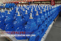 //iororwxhkjmjlm5p.leadongcdn.com/cloud/moBpoKnrRllSkikqknlnj/GATE-VALVES3.jpg