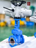 //iororwxhkjmjlm5p.leadongcdn.com/cloud/moBpoKnrRllSlijjknlri/WCB-Electric-Actuated-Flanged-Gate-Valve.jpg