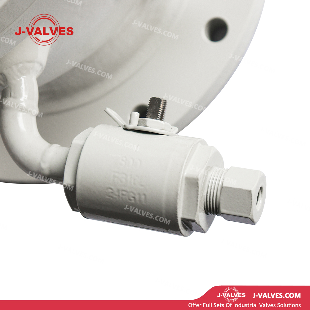 ASME B16.34 WCB Carbon Steel 2PC Flanged Trunnion Mounted Ball Valve with Double Vent Needle Valves