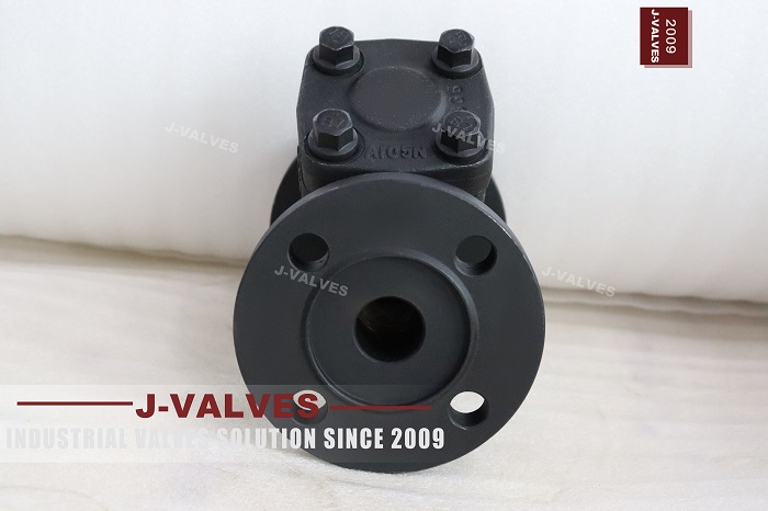 ASME B16.34 Y-Strainer (4)