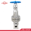 2"1500LB CF8C High Temperature And High Pressure Gate Valve