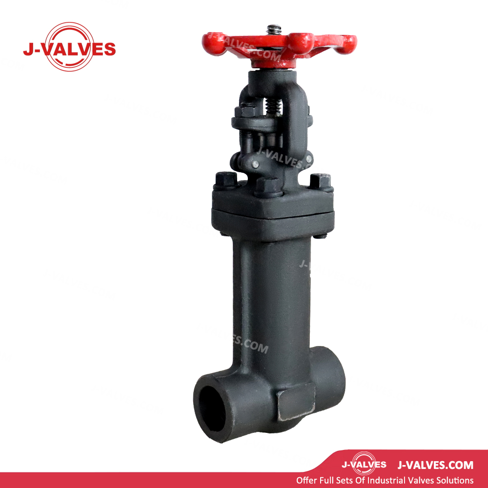 0.75“ 800LB A105N Bellows Gate Valve