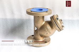 2“ 150LB C95800 过滤器 (4) 拷贝.jpg