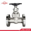 DN50 PN63 F316L Gate Valve
