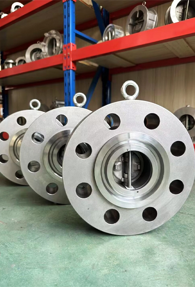 High-pressure Lug Double Disc Check Valve