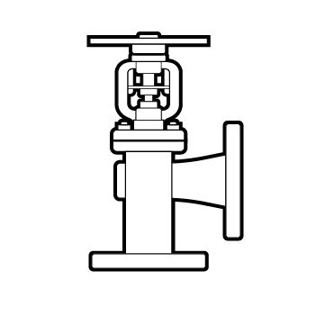 Angle Globe Valve