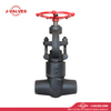 1"2500LB Globe Valve