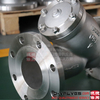 ANSI Stainless Steel CF8m/CF8/SS316/SS304 Flanged Ends Industrial Y Strainer