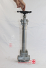API602 Forged Steel Stainless Steel F304L 800lb SW Cryogenic Globe Valve