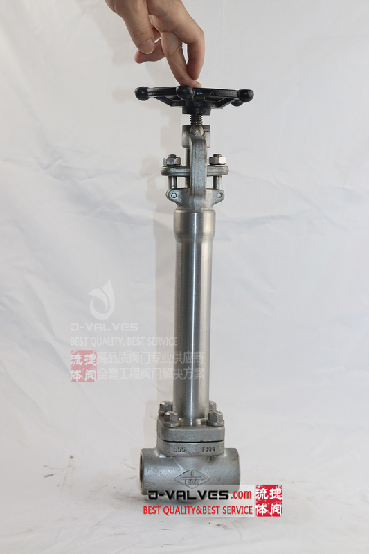 API602 Forged Steel Stainless Steel F304L 800lb SW Cryogenic Globe Valve