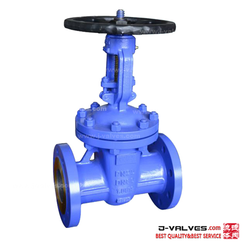 DIN DN80 PN25 1.4404 Stainless Steel Flanged Gate Valve
