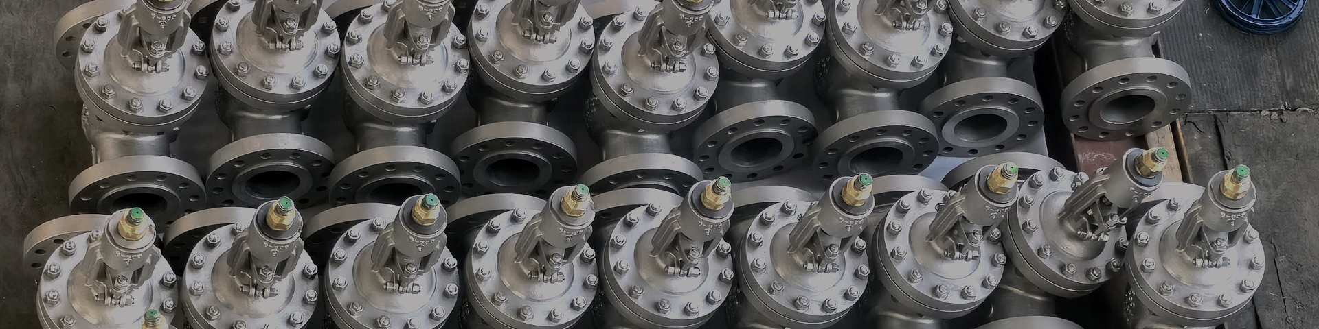 Stainless Steel gate valves