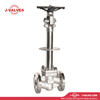 Quality Industrial Valve Product Made in China J-Valves 15LB RF Low-temperature Stainles Steel F304 Extended-stem Globe Valve