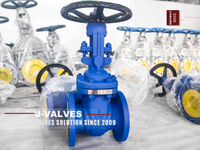 //iororwxhkjmjlm5p.leadongcdn.com/cloud/mpBpoKnrRllSkirjqnlii/Gate-Valves1.jpg