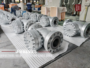 A105 lift check valve.jpg