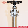 J-Valves China F304/A105n/F316 600lb RF Forged Steel Rising Stem Flanged Gate Valve