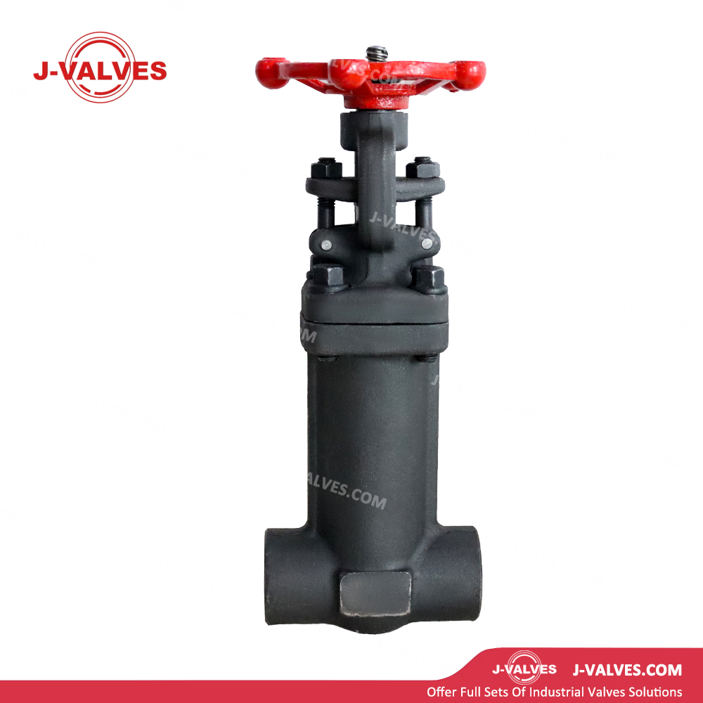 0.75“ 800LB A105N Bellows Gate Valve