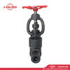 1"2500LB Globe Valve