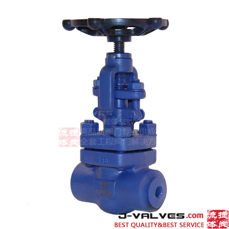 F91 1500LB Anti-corrosion Forged Stainless Steel F-NPT Globe Valve