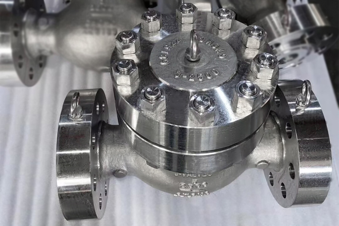 Nickel based alloy CW6MC high-pressure check valve