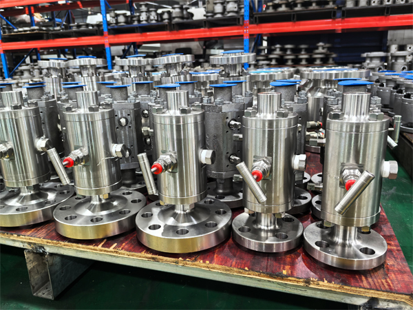 Double Block and Bleed Valves