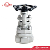 Stainless Steel Socket Welded Gate Valve
