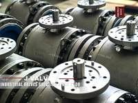 //iororwxhkjmjlm5p.leadongcdn.com/cloud/mqBpoKnrRllSlijrorlni/Trunnion-ball-valves.jpg