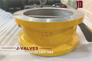 Double Disc Wafer Check Valves (2).jpg