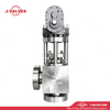 Forged Steel Angle Globe Valve